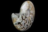 Stunning Polished Ammonite With Crystal Chambers #67426-2